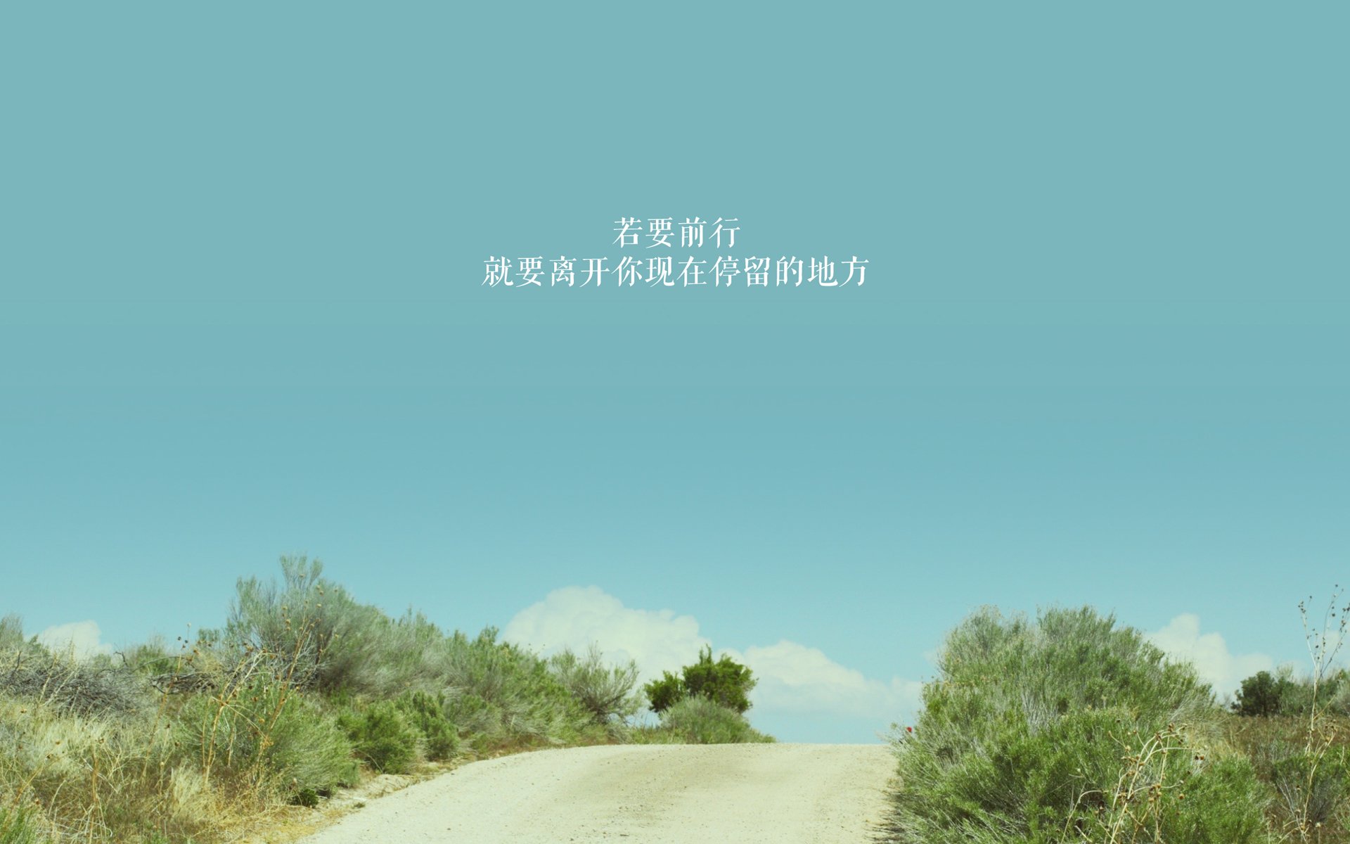 kaiyun官方入口登录-从汗水到荣耀：日常训练揭秘冠军车手的生活，冠军赛车手