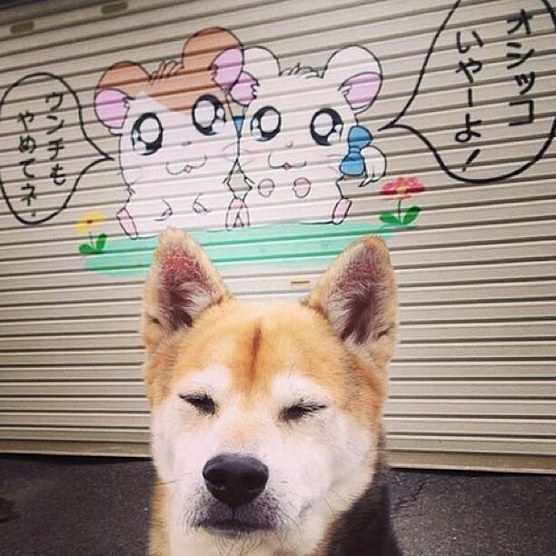 全国青年羽毛球锦标赛成功举办,赛况激烈,2021全国青少年羽毛球比赛