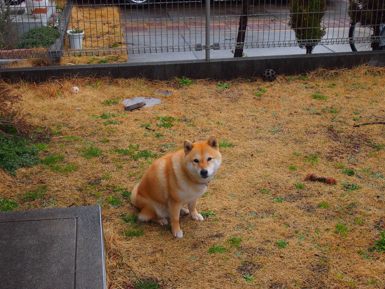 尼斯意外失利,排名有所变动,尼斯dba