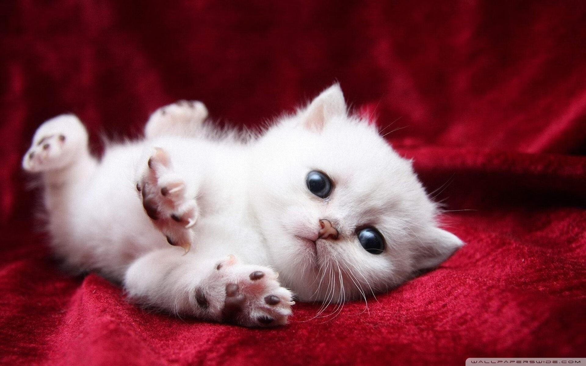 开云·体育官网-德甲战场，比分4-3，比赛由精彩反击引爆，角球15个，控球率65%，德甲比赛集锦