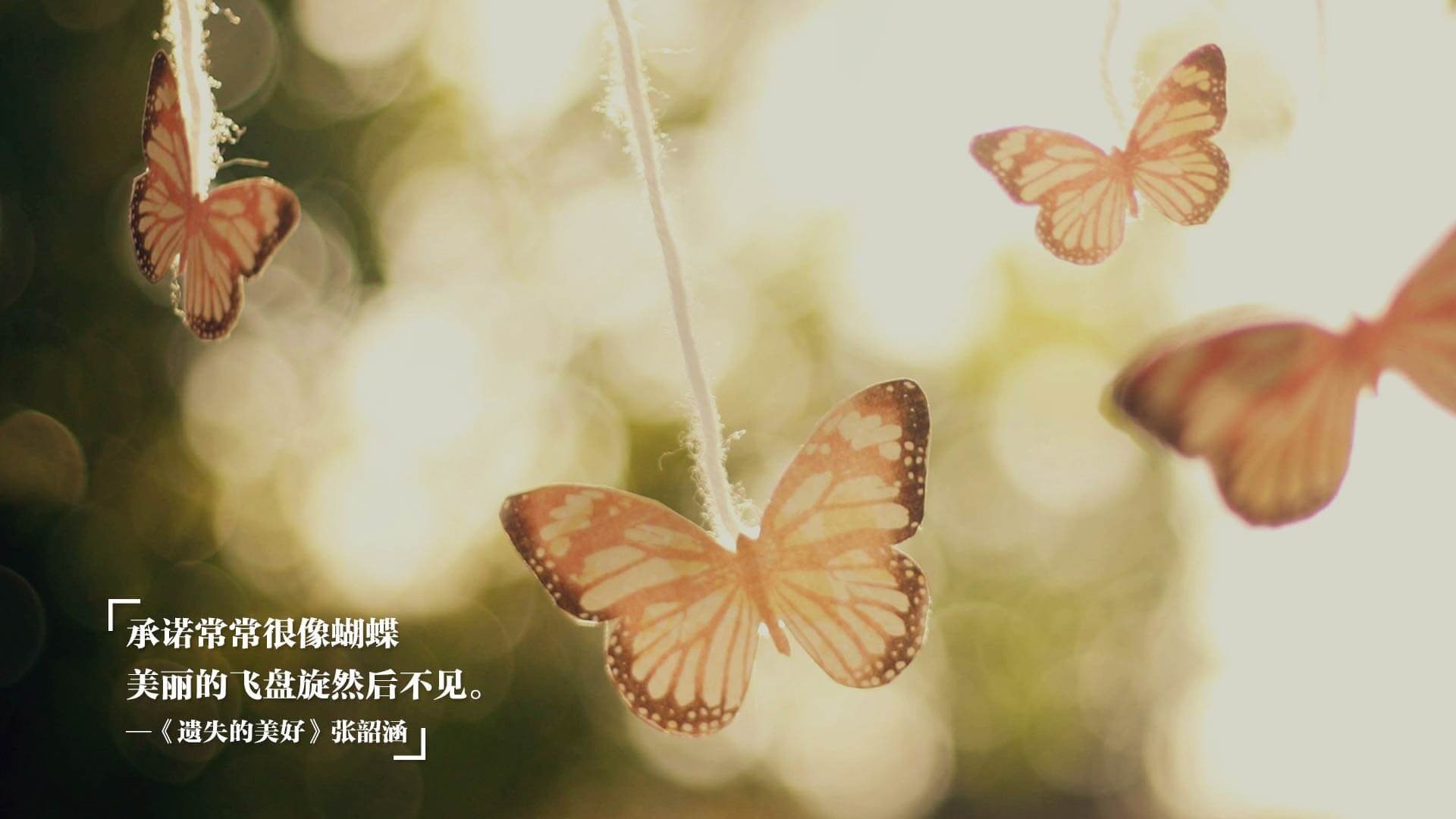 Kaiyun官方登录入口-欧冠比赛中的战术误区与成功要素，欧冠战争