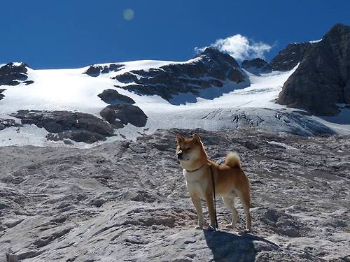 KAIYUN 中国大陆-篮球职业联赛转播技术不断升级，转播cba篮球比赛