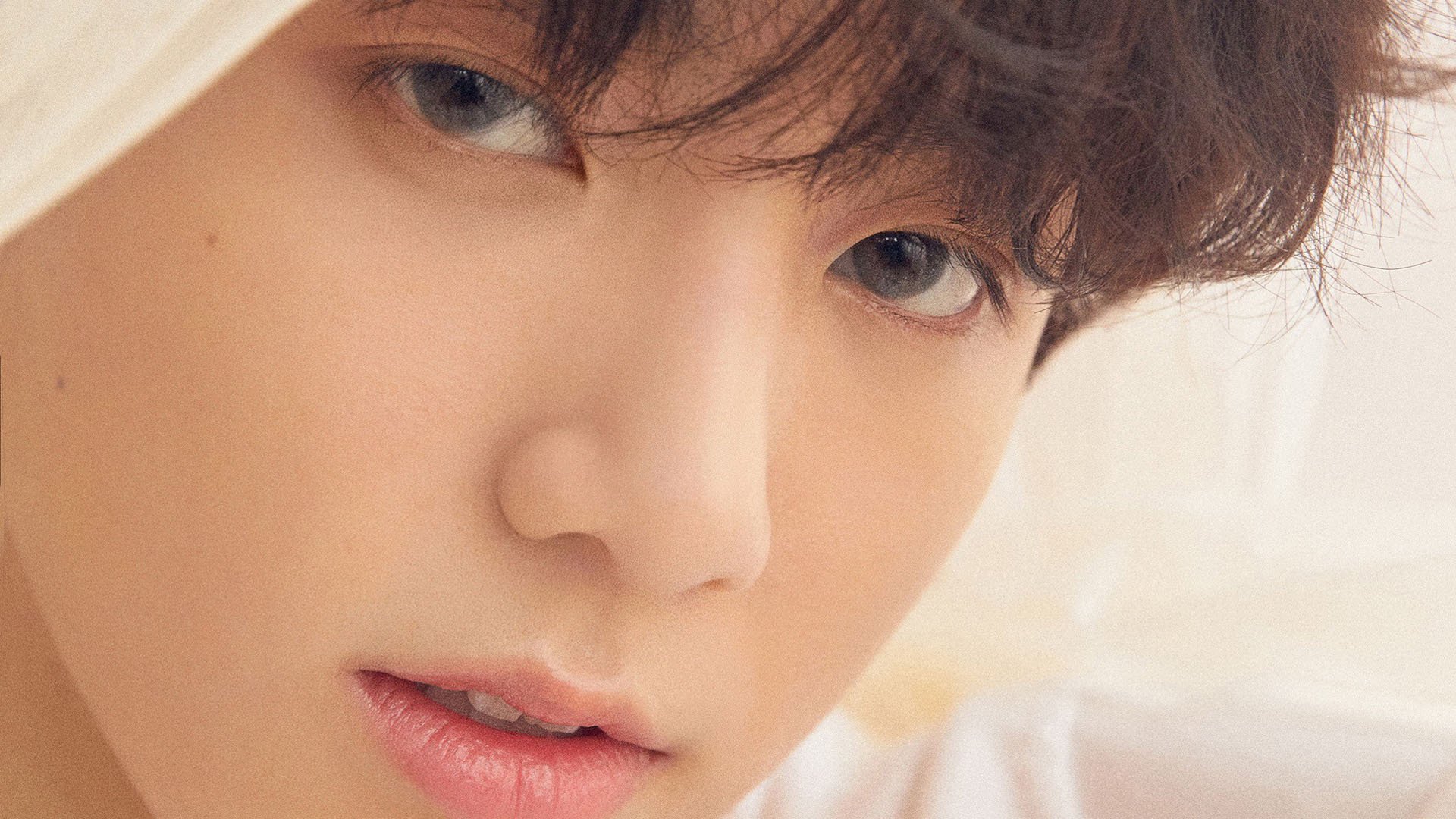 老将经验丰富,为球队提供稳定支撑