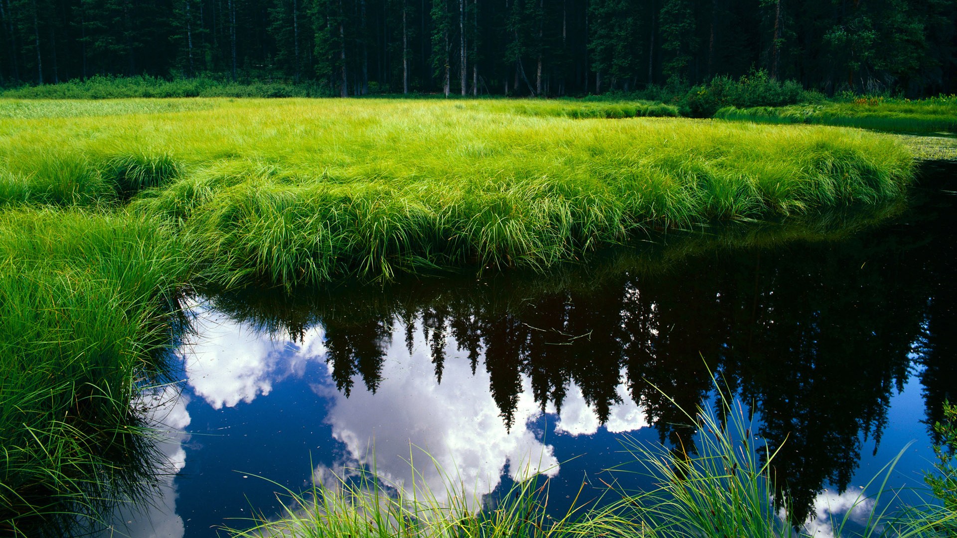 西甲运动员薪酬增长,职业保障增强,西甲球员工资排行榜
