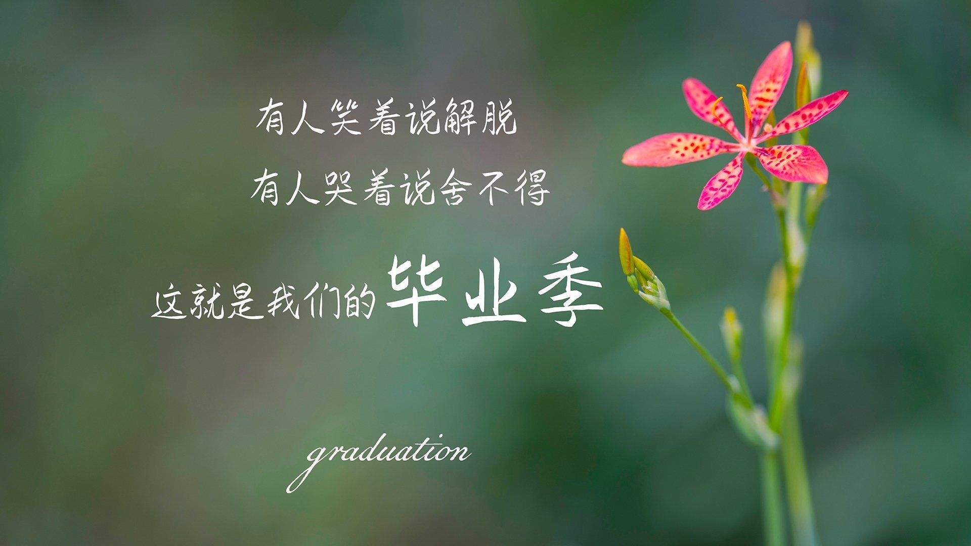 西甲运动员薪酬增长,职业保障增强,西甲球员工资排行榜