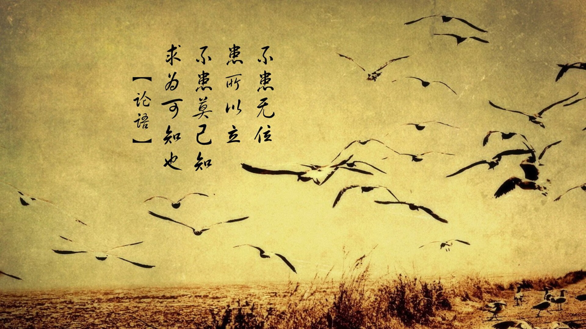 西甲联赛中场组织优化,比赛更加激烈多变,西甲最强中场