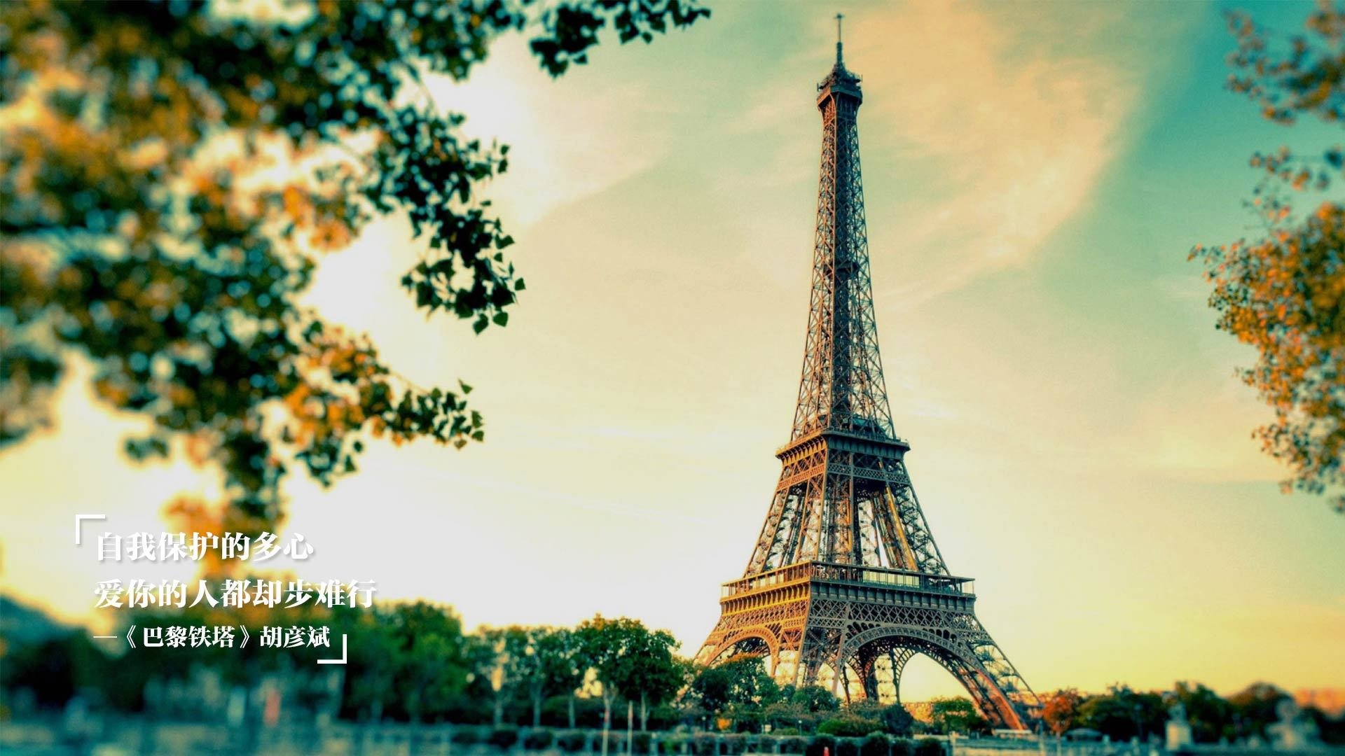 开云·Kaiyun网页版-车队风云：从磨合到巅峰的幕后故事，车队 下载