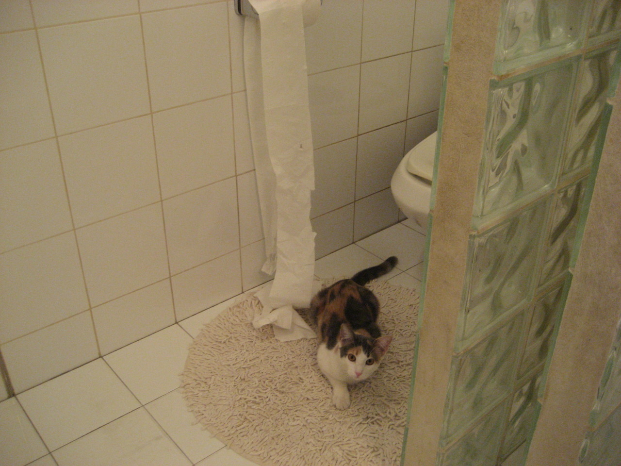 运动员备战秘籍揭秘:从心理到技能的全方位准备,运动员训练备战