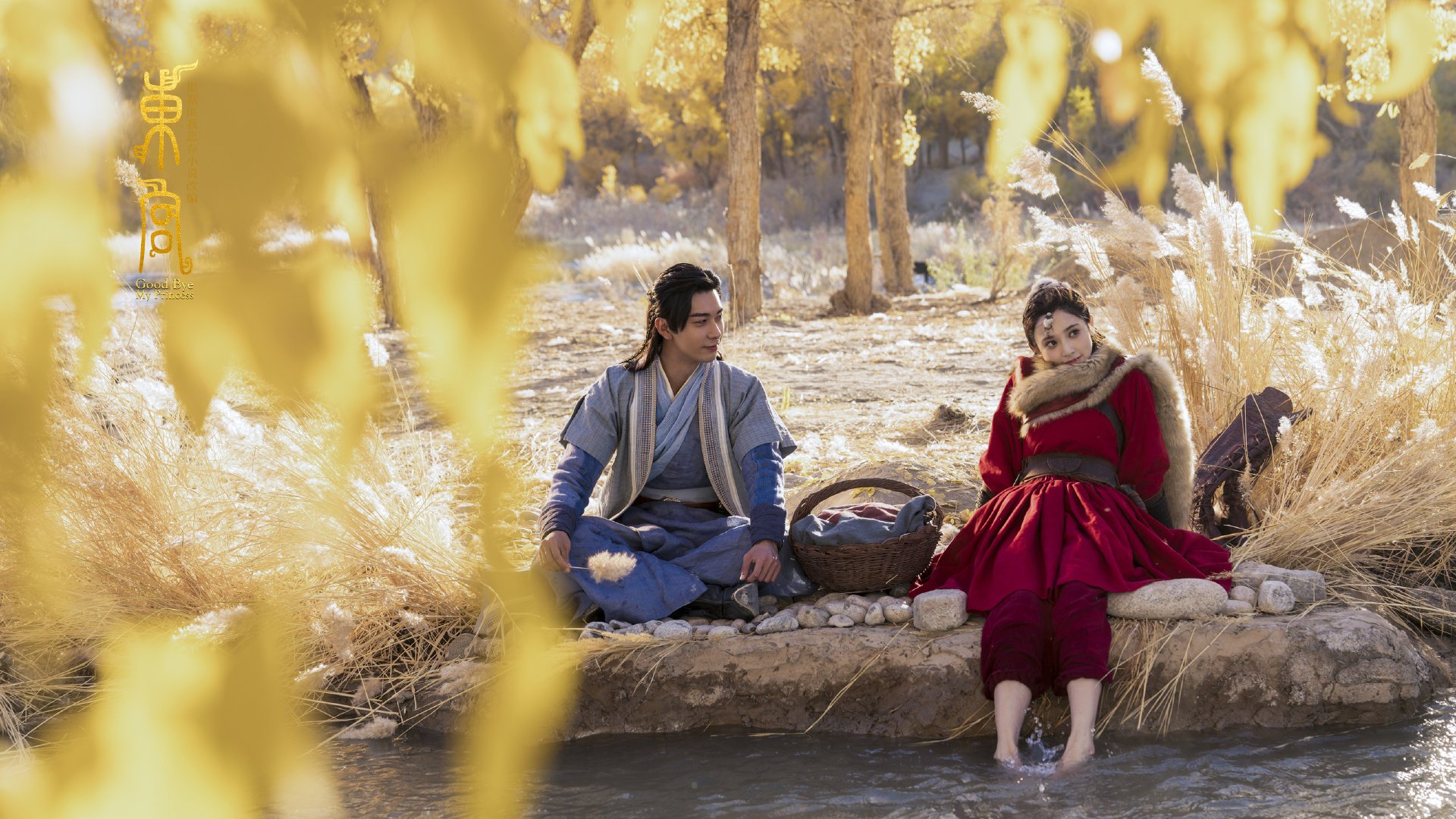 开云kaiyun-长青树：那些28+年球龄的传奇巨星，长青树的寿命