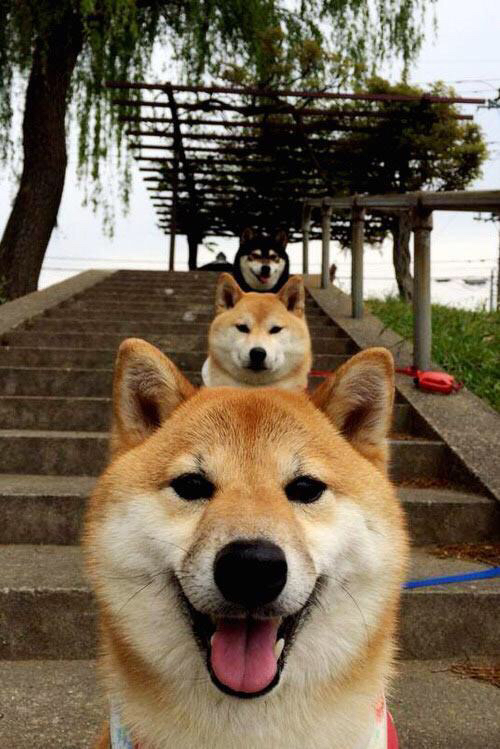 KPL战队间激烈对抗升级,kpls组队伍